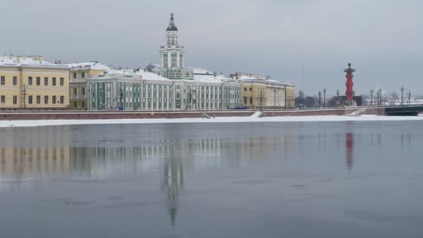 Malowniczy zimowy krajobraz pokrytego śniegiem nasypu Sankt Petersburga, muzea antropologii i etnografii Rosyjskiej Akademii Nauk, most pałacowy, twierdza Piotra i Pawła — Wideo stockowe