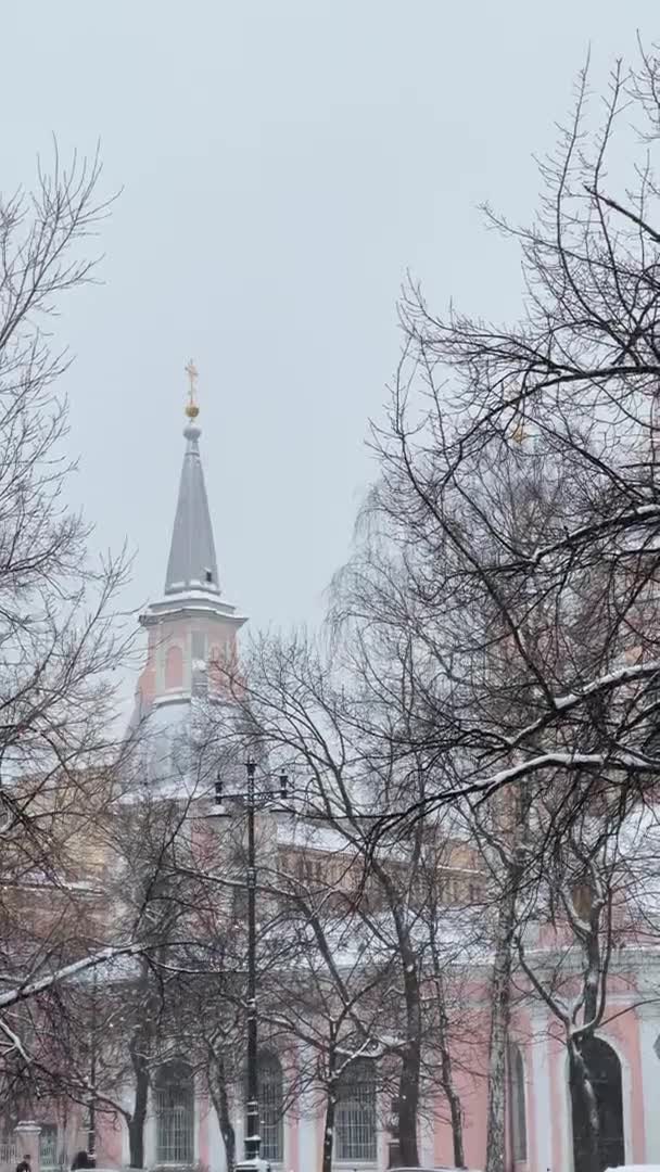 St. Andrew Katedrali 'nin pitoresk kış manzarasının dikey videosu. St. Petersburg' daki Vasilyevsky Adası 'ndaki ağaçların dalları arasından ilk çağrılan. — Stok video