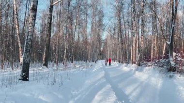 İnsanlar karla kaplı parkta yürüyorlar güneşli kış gününde, yapraksız ağaçlar, uzun gölgeler, orman soyut arka planı
