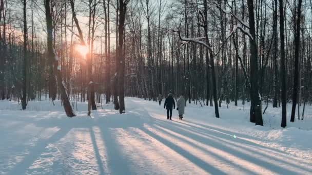 사람들은 맑은 겨울에는 눈덮인 공원을 걷고 있습니다. 나뭇잎 이 없는 나무, 긴 그림자, 숲 속의 추상적 인 배경 — 비디오