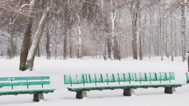 Ağır kar, büyük kar taneleri, vahşi park, kış ağaçları, ağaçların gövdesinden toplanmış kalabalık, kar fırtınası. Orman soyut geçmişi, ağır çekim, hiç kimse