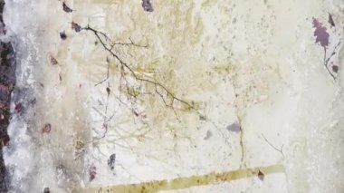 Ormanda bahar başlar, dikey video, ağaçlar suda durur, güneşli bir gün, ışık ve su üzerindeki yansımalar, ağaç gövdeleri bir su birikintisine yansıtılır, dereler akar, kar gizler