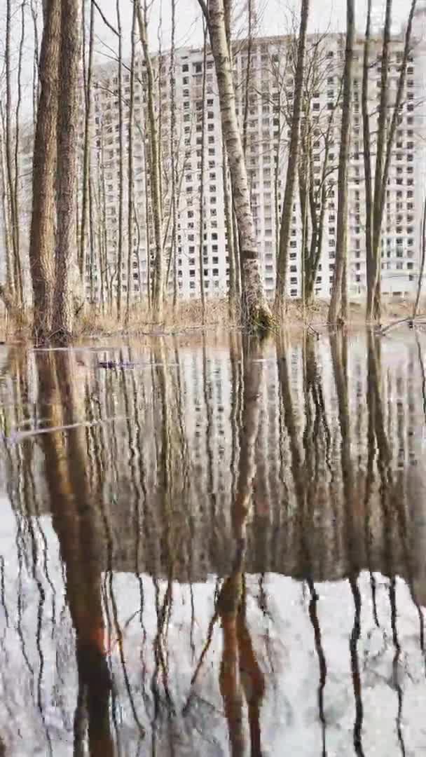 Byggande av höghus, Utsikt från park genom träd som står i vatten, långsam rörelse av en videokamera, betongblock utan fönster och fasad efterbehandling, molnigt väder — Stockvideo