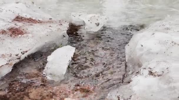 The stream flows through ice and dirt in park in the first days of spring, reflection of trees in a puddle, a sunny day — Stock Video