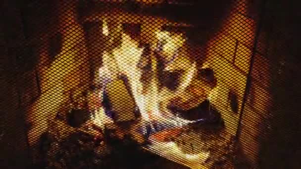 Cozy fire in a house fireplace from a brick, a safety lattice, briquettes for a fireplace — Stock Video