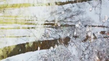 Ormanda ilkbahar başlar, ağaçlar suda durur, güneşli bir gün, su üzerindeki ışık ve yansıma alanları, ağaçların gövdeleri bir su birikintisine yansıtılır, nehirler akar, karı gizler.