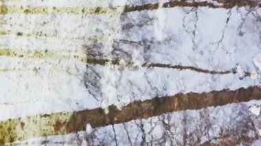 Ormanda ilkbahar başlar, ağaçlar suda durur, güneşli bir gün, su üzerindeki ışık ve yansıma alanları, ağaçların gövdeleri bir su birikintisine yansıtılır, nehirler akar, karı gizler.