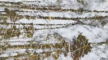 Ormanda ilkbahar başlar, ağaçlar suda durur, güneşli bir gün, su üzerindeki ışık ve yansıma alanları, ağaçların gövdeleri bir su birikintisine yansıtılır, nehirler akar, karı gizler.