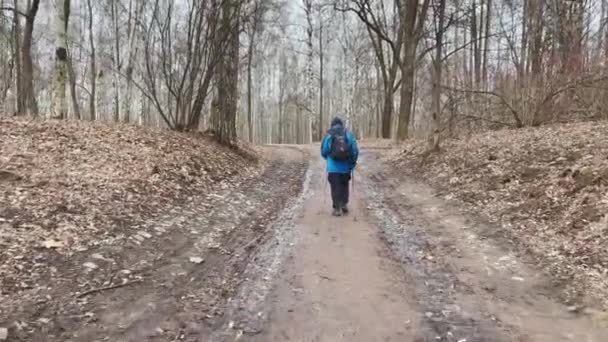 他站在树林里的山上，背靠在他的背上，背包挂着，蓝色的夹克 — 图库视频影像