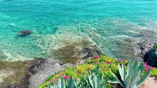 Pusta plaża bez turystów przeciwko konfliktowi między krajami Turcji i Rosji, Czerwone kwiaty na pierwszym planie, lazurowa spokojna woda, idealne miejsce na prywatność — Wideo stockowe