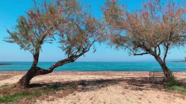 Çiçekli ağaçlar pembe çiçeklerle mavi bir göl manzarasına karşı güneş doğarken boş bir halk plajı, turistler olmadan arka planda dağlar, masmavi bir su.