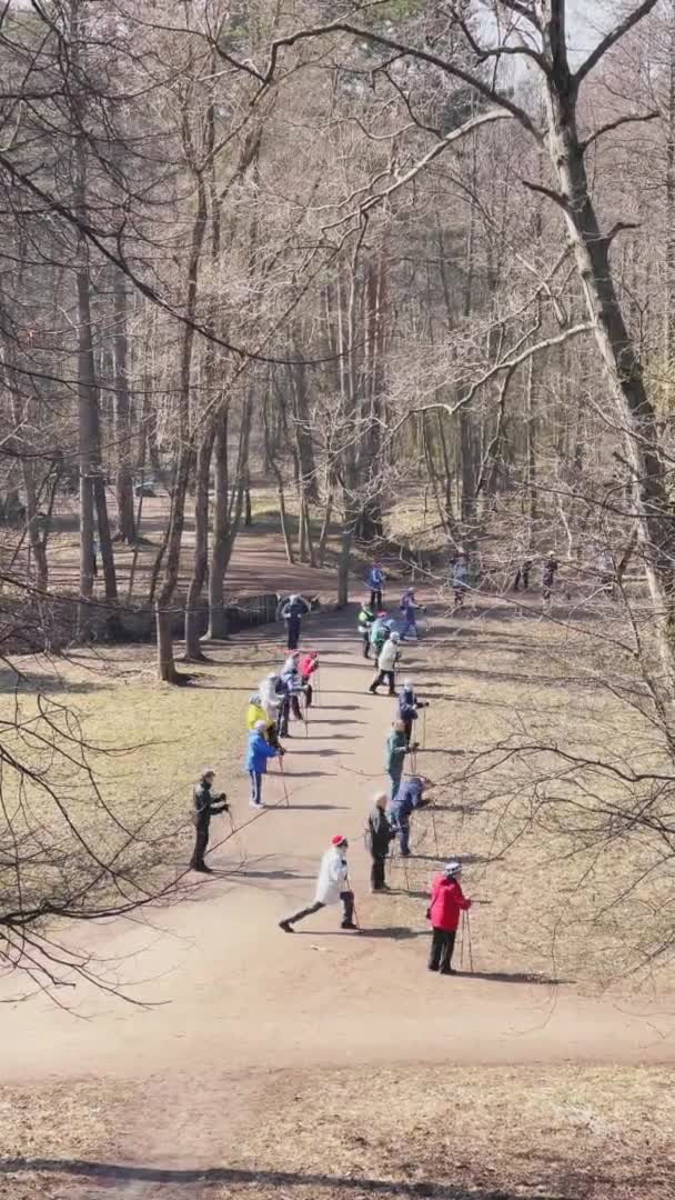 Росія, Санкт-Петербург, 22 квітня 2021: Група літніх людей робить фізичні вправи про пристосованість паличками в парку в сонячну весняну погоду. — стокове відео
