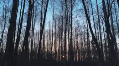 Bahar parkının günbatımındaki panoramik görüntüleri, güneş siyah şortların arasından, alacakaranlıkta.