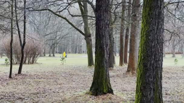 The women is walking with baby carriages in public park, the rainy weather, raincoat of yellow color — Stock Video