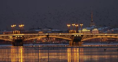 Saint-Petersburg kış gecesinin panoramik görüntüleri. Sudaki yansıma, Blagoveshchensky köprüsü, eski adı Teğmen Schmidt, bir sürü kuş, deniz kuvvetleri binası.