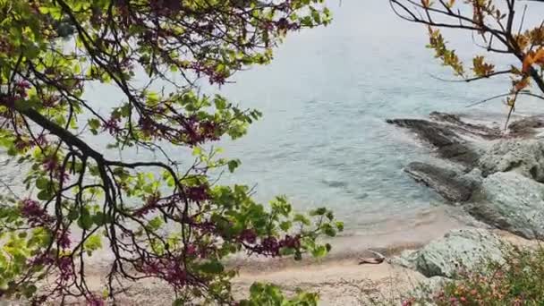 Malowniczy morski krajobraz błękitnej laguny z pustą publiczną plażą przez ławkę drzew o wschodzie słońca, bez turystów, lazurowa woda, kamieniste wybrzeże — Wideo stockowe