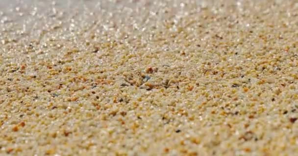 Close-up imagens de câmera lenta da praia de cascalho, a areia grossa, ondas correm na areia, pedras molhadas brilham ao sol, reflexão do sol sobre a água — Vídeo de Stock