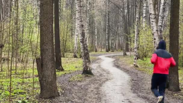 I giovani stanno correndo, si è vestito con giacca da pioggia rossa e snickers, sport all'aria aperta, il filmato panoramico del parco primaverile al giorno nuvoloso, sta nevicando, prima erba verde — Video Stock