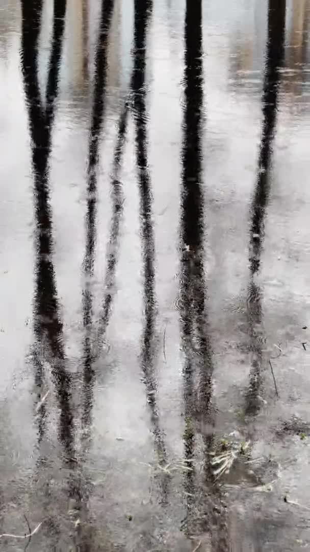 Abstract footage of reflection on water in puddle at rainy weather, reflective surface the water, micro waves, water texture, nobody — Stock Video