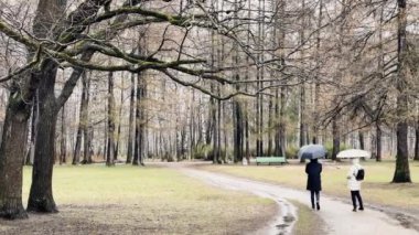 Bulutlu bir günde bahar parkının panoramik görüntüleri kar yağıyor, ilk yeşil çimen, şemsiyeli insanları gezdiriyor.