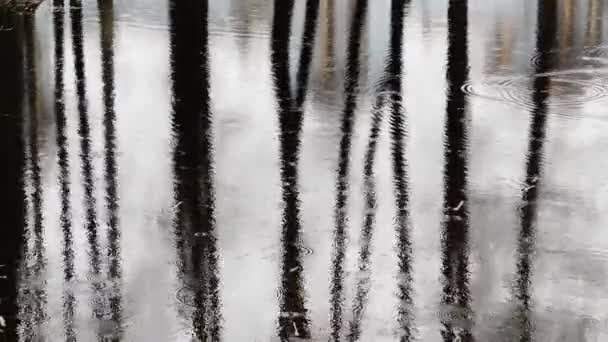 Abstraktní záběry reflexe o vodě v kaluži za deštivého počasí, reflexní povrch vody, mikrovlny, textura vody, nikdo — Stock video