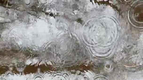 Abstract footage of reflection on water in puddle at rainy weather, reflective surface the water, micro waves, water texture, nobody — Stock Video