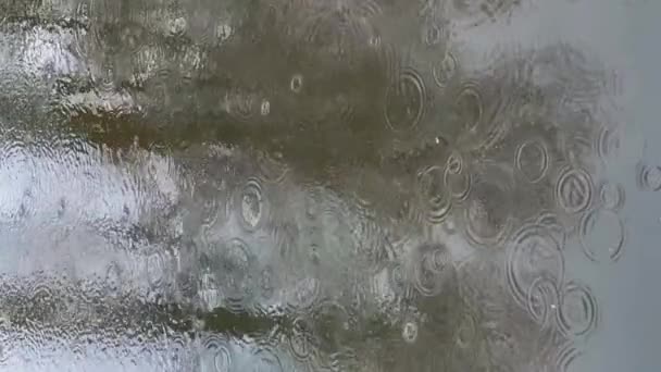 Abstraktní záběry reflexe o vodě v kaluži za deštivého počasí, reflexní povrch vody, mikrovlny, textura vody, nikdo — Stock video