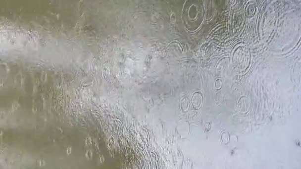 雨の日の水たまりの中の水への反射の概要映像,反射面水,マイクロ波,水のテクスチャ,誰も — ストック動画