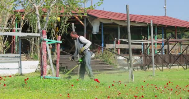 Grèce, Halkidiki, 15 avril 2019 : Le travailleur en salopette tonde une herbe verte avec une tondeuse à essence sur une pelouse par temps ensoleillé — Video