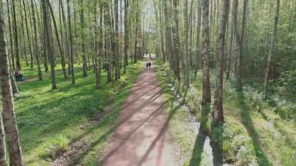 O drone voa lentamente através de árvores, as pessoas caminham no parque público em tempo ensolarado, folhagem jovem nas árvores, luz solar através das árvores — Vídeo de Stock