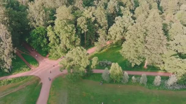 The drone flies around over park in at sunset, in park people walk, children, families, footpaths play, green trees, St. Petersburg, Russia — 비디오