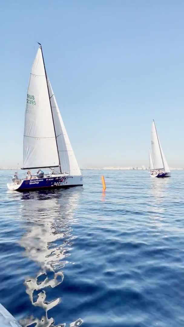 Rusland, Sint-Petersburg, 18 juni 2021: Sommige zeilboten in een lijst gaat over zee, stilstaand water, de heldere lucht, zeilregatta, reflectie van zeil op het water, kleine golven — Stockvideo