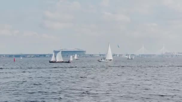 Rusia, San Petersburgo, 18 de junio de 2021: Algunos veleros en una lista va por mar, el cielo despejado, regata, estadio de arena Gazprom en el fondo, reflejo de la vela en el agua, puente en el fondo — Vídeo de stock