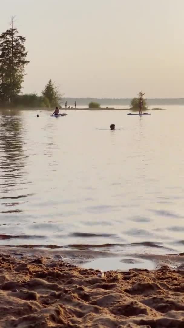 Vertikales Video eines Sees bei Sonnenuntergang, Urlauber schwimmen auf einem aufblasbaren Brett und paddeln, Sonnenreflexion auf dem Wasser, ruhiges Wasser, See mit Bäumen im Hintergrund, Sandstrand im Vordergrund — Stockvideo