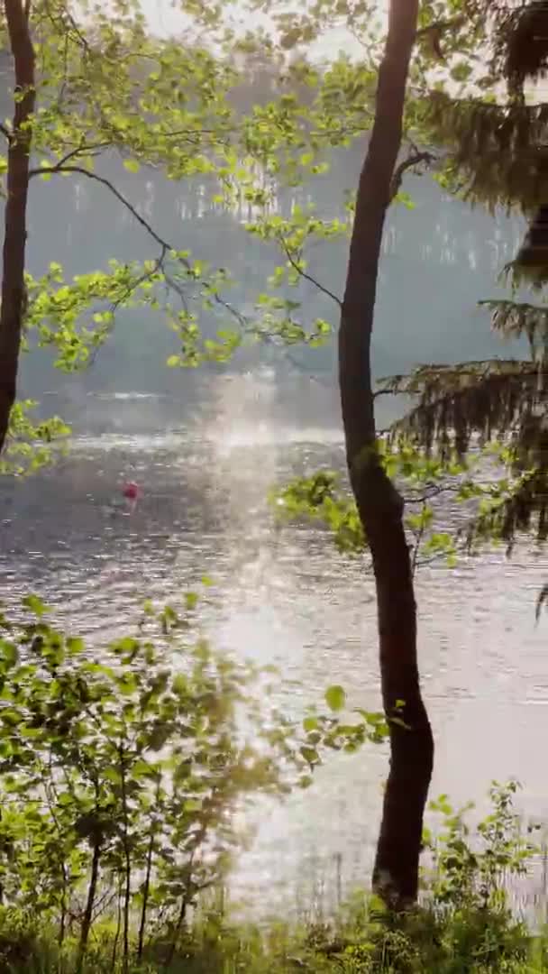 Vidéo verticale d'un lac à travers les arbres verts par une journée chaude ensoleillée au coucher du soleil, éruption solaire sur l'eau, tranquillité — Video