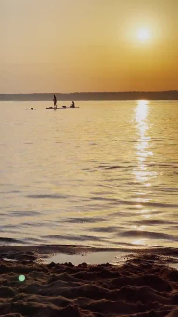在日落时的垂直录像中，度假者们在一个充气的木板和桨上游泳，阳光映照在水面上，平静的水，背景是绿树成荫的湖，前景是一片沙滩 — 图库视频影像