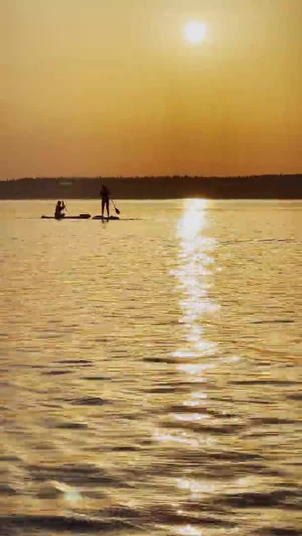 Vertikales Video eines Sees bei Sonnenuntergang, Urlauber schwimmen auf einem aufblasbaren Brett und paddeln, Sonnenreflexion auf dem Wasser, ruhiges Wasser, See mit Bäumen im Hintergrund, Sandstrand im Vordergrund — Stockvideo