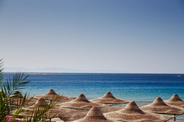 Beach, Kızıldeniz, şemsiye, şezlong, hurma dalları