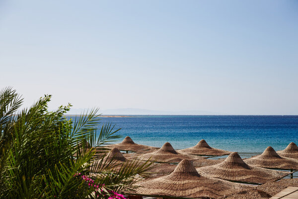 Beach, Red Sea, umbrellas, chaise lounges, branches of date palm