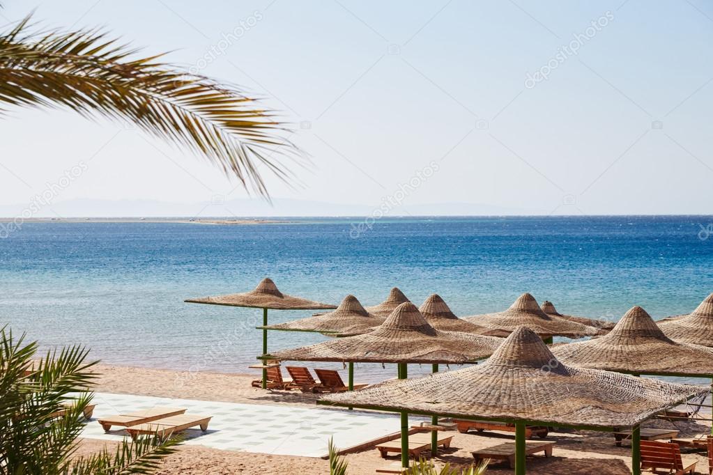 Beach, Red Sea, umbrellas, chaise lounges, branches of date palm