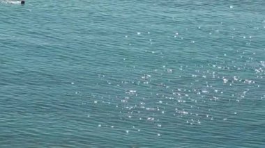 Fransa, Menton, 28 Ağustos 2015: adam, sakin sabah denizde yüzen güneş parlamayı masmavi su, güneşli bir gün, sabah egzersiz, emekliler, Fransız Rivierası