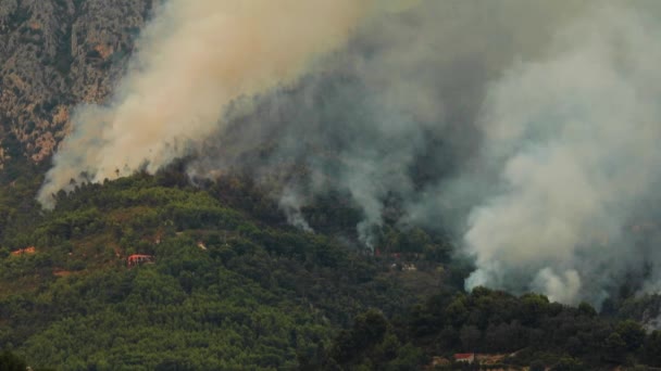 Frankrijk, Menton, 09.09.2015: het vuur op de hellingen van de bergen op de grens van Frankrijk en Italië, Menton en Ventimiglia, brandende huizen en het bos, veel rook, vuur blussen vliegtuigen — Stockvideo