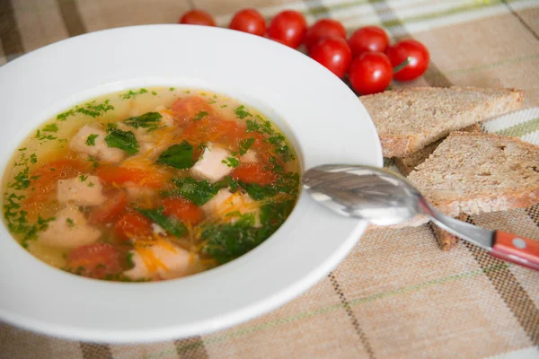 Fresh soup with meat and vegetables — Stock Photo, Image