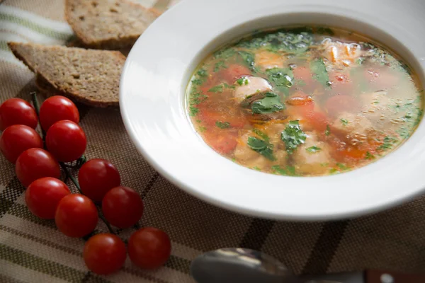 Свежий суп из мяса и овощей Стоковое Фото