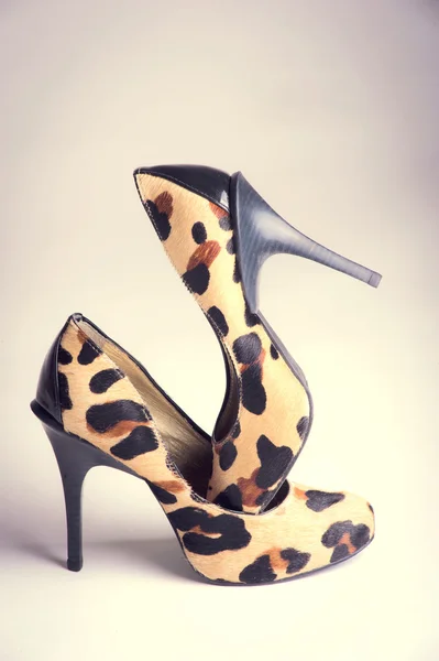 Sapatos de mulher de moda — Fotografia de Stock
