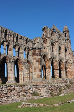 Whitby abbey yorkshire İngiltere'de