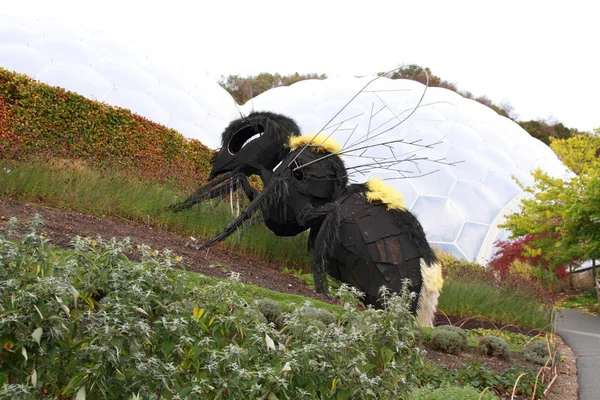 Eden project Cornwall Verenigd Koninkrijk — Stockfoto