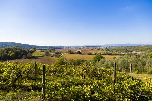 Tuscany hills — Stock Photo, Image