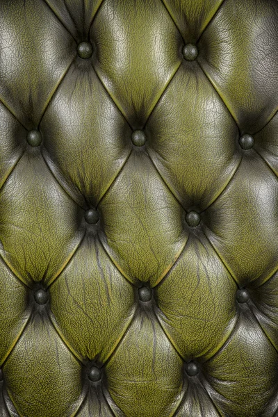 Olive leather — Stock Photo, Image