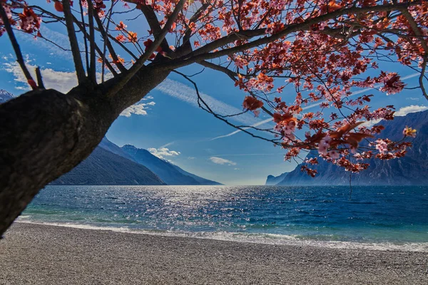 Güzel Garda Gölü manzarası dağlarla çevrili, baharda Garda Gölü, Trentino alto Adige Bölgesi, İtalya